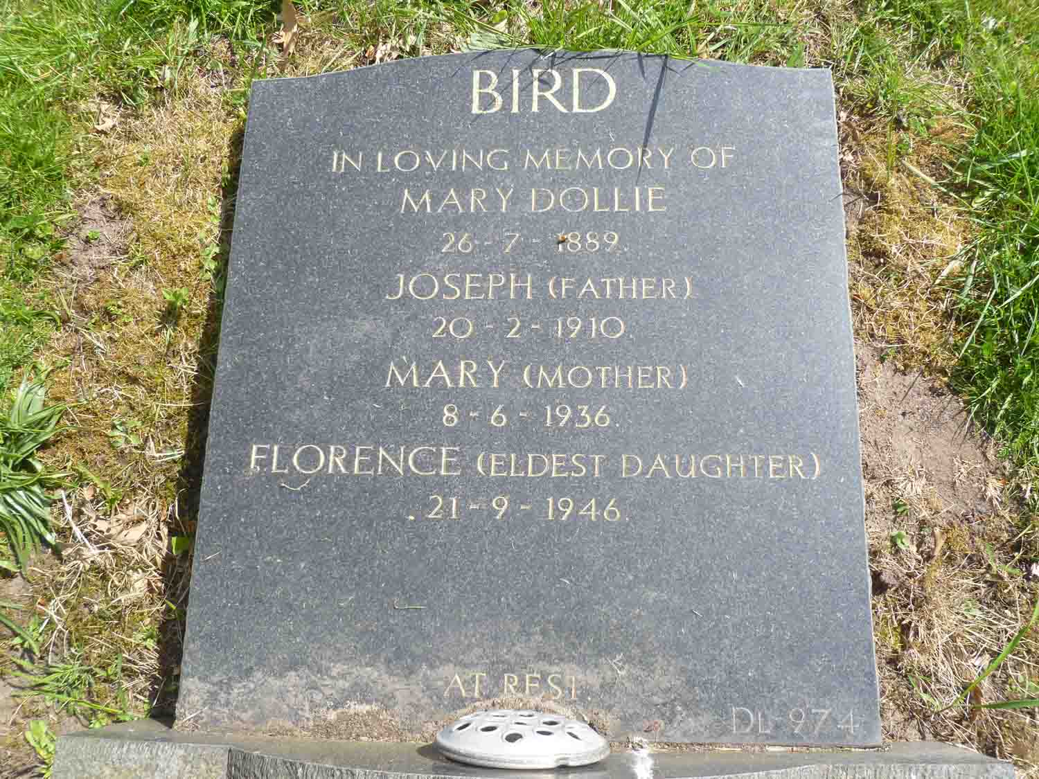 Bird (D Left 974) (2)